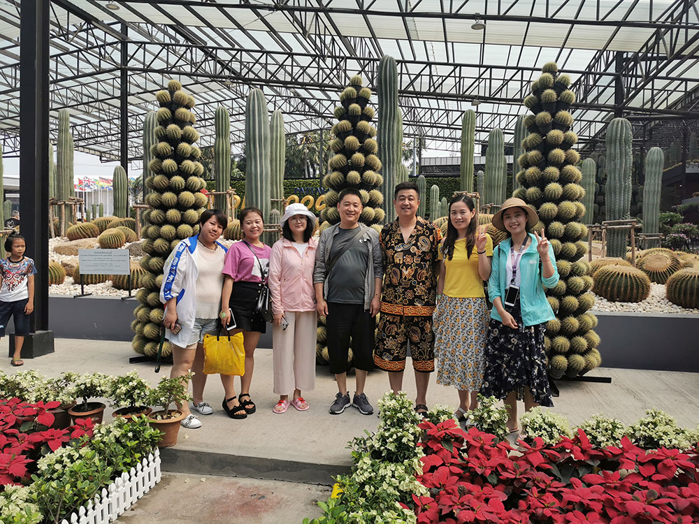 出發(fā)在鴻成，暢爽泰國游(圖3)